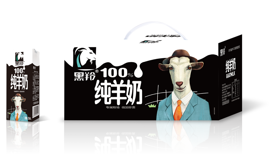紿